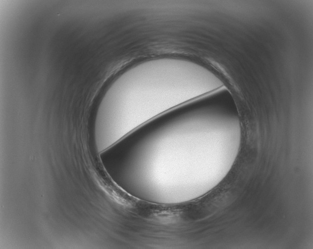 X0000080750447200612151002