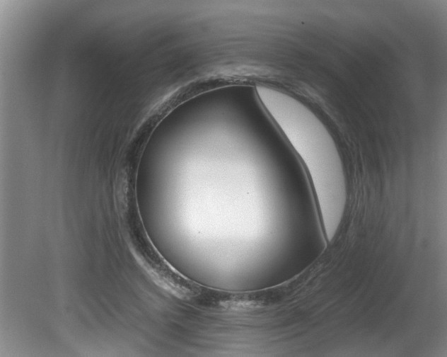 X0000080750448200612151002