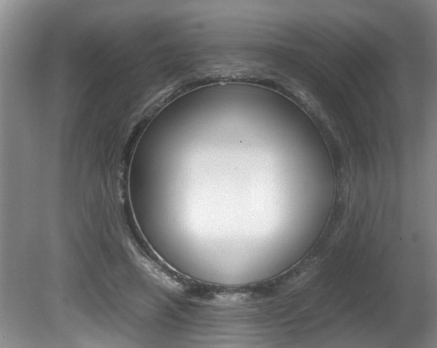 X0000080750450200612151002