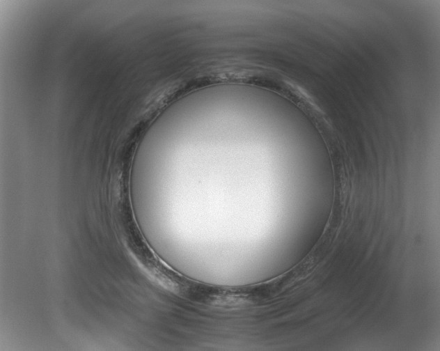 X0000080750451200612151002