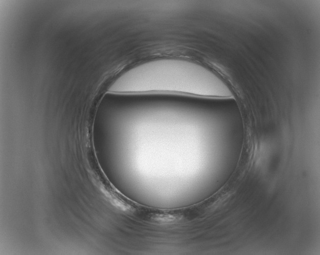 X0000080750453200612151002