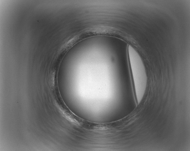 X0000080750454200612151002