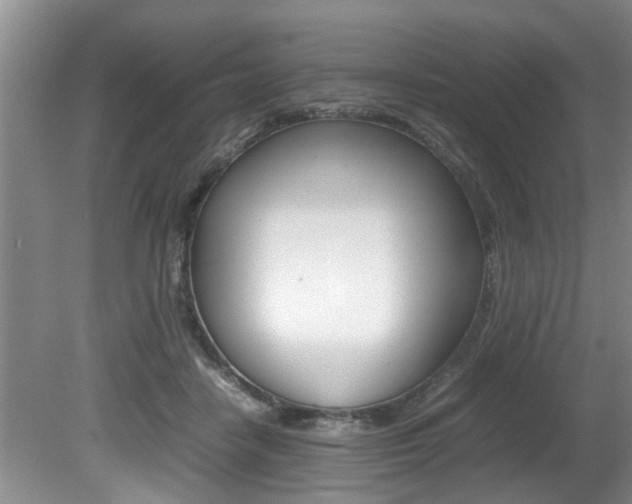 X0000080750458200612151002