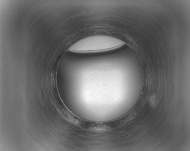 X0000080750459200612151002