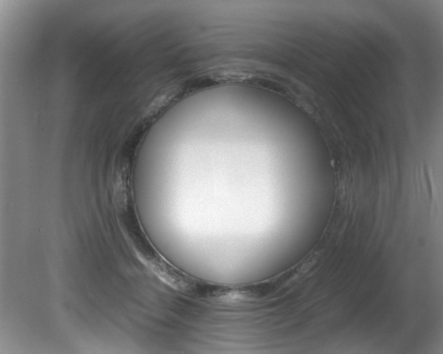 X0000080750460200612151002