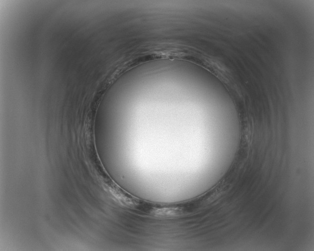 X0000080750461200612151002