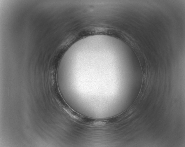 X0000080750462200612151002