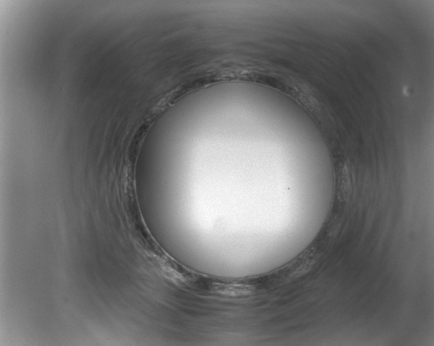 X0000080750463200612151002