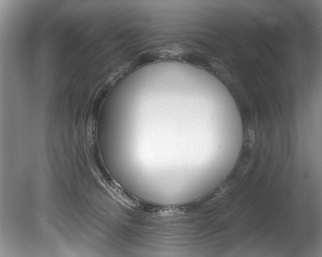 X0000080750468200612151002