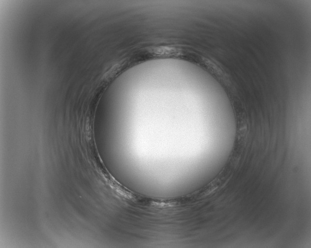 X0000080750469200612151002