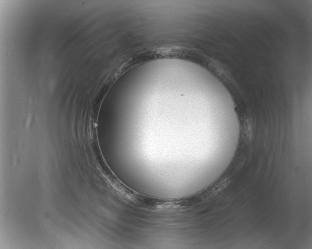 X0000080750470200612151002