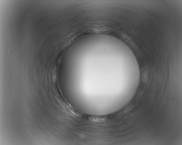 X0000080750471200612151002