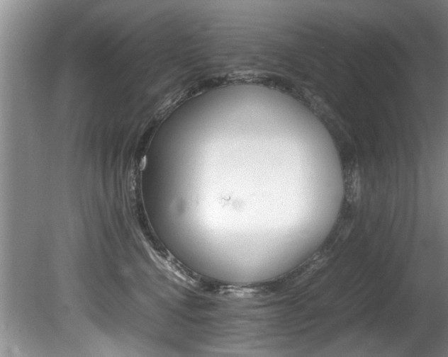 X0000080750472200612151002