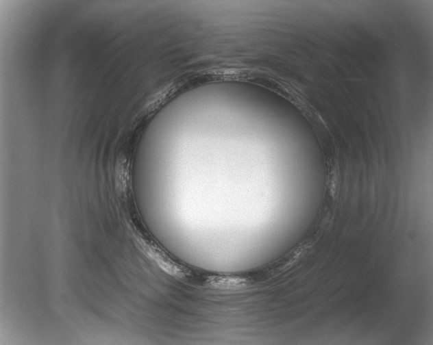 X0000080750476200612151002
