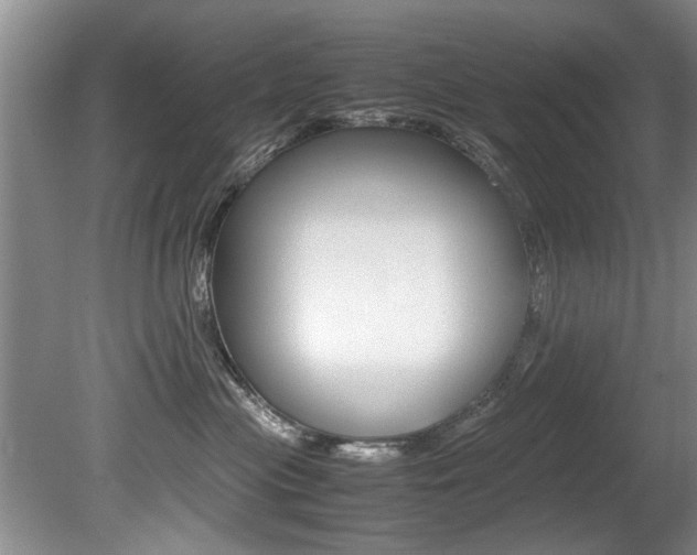 X0000080750477200612151002