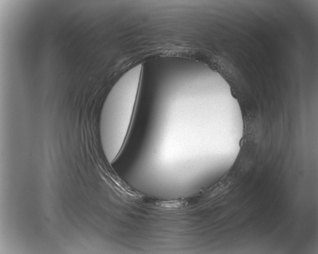 X0000080750479200612151002