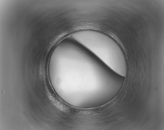 X0000080750482200612151002