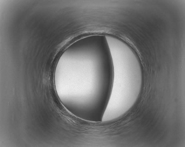 X0000080750483200612151002