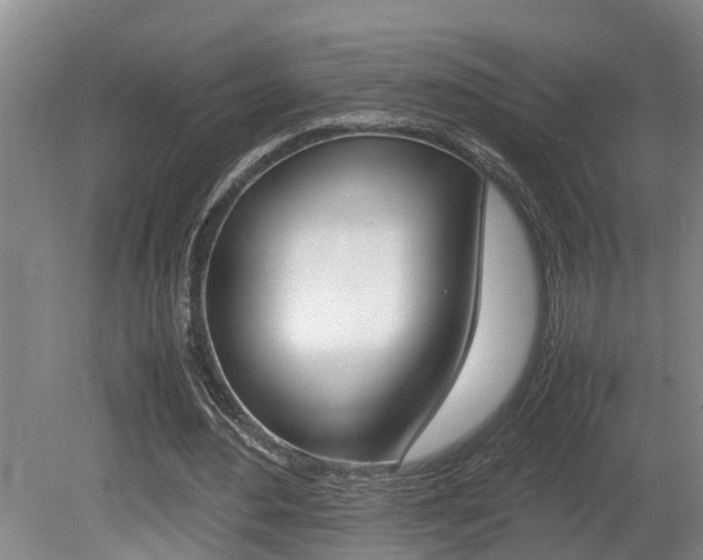X0000080750484200612151002