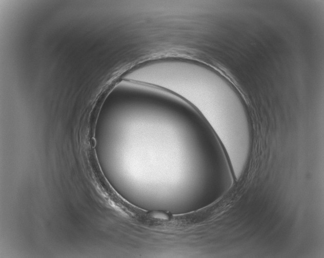 X0000080750485200612151002