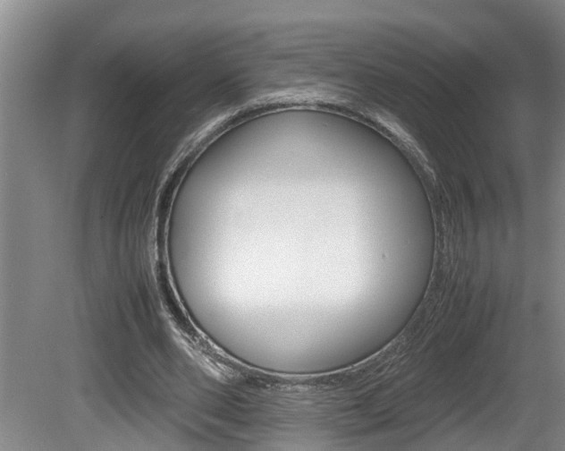 X0000080750486200612151002