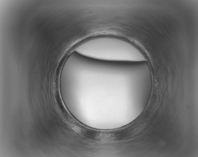 X0000080750487200612151002
