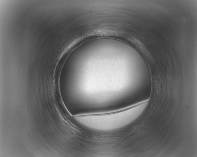 X0000080750488200612151001