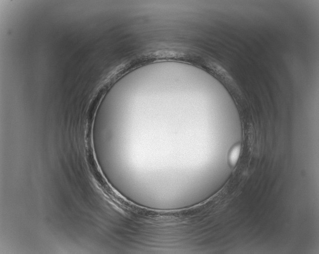 X0000080750490200612151001