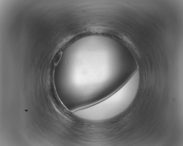 X0000080750492200612151001
