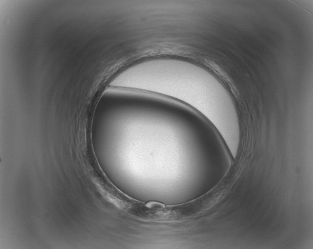 X0000080750493200612151001