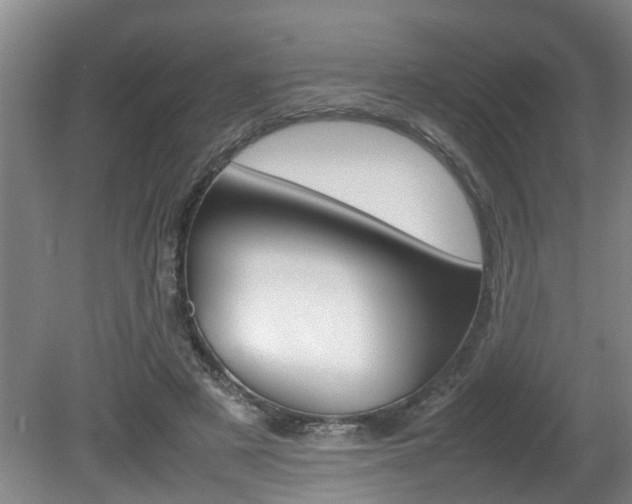 X0000080750497200612151001