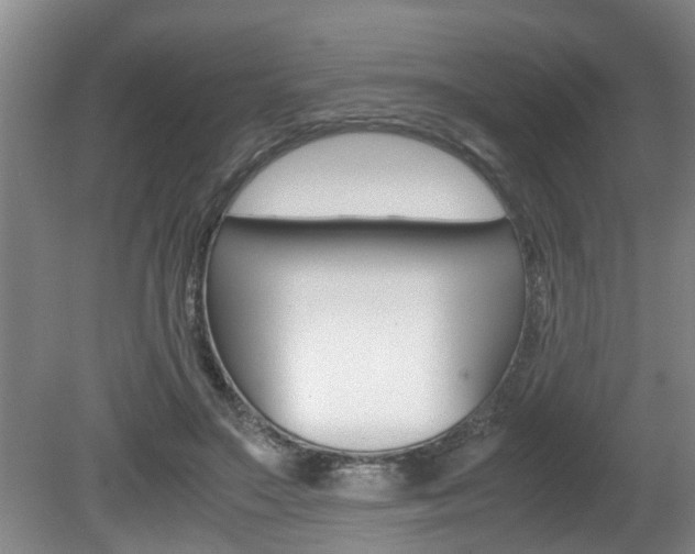 X0000080750499200612151001