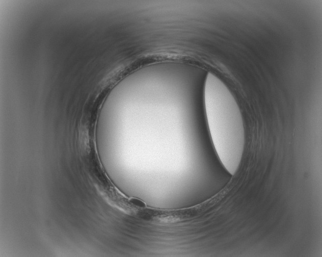 X0000080750500200612151001