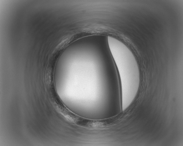X0000080750501200612151001