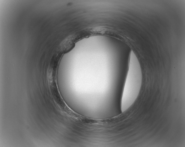 X0000080750504200612151001