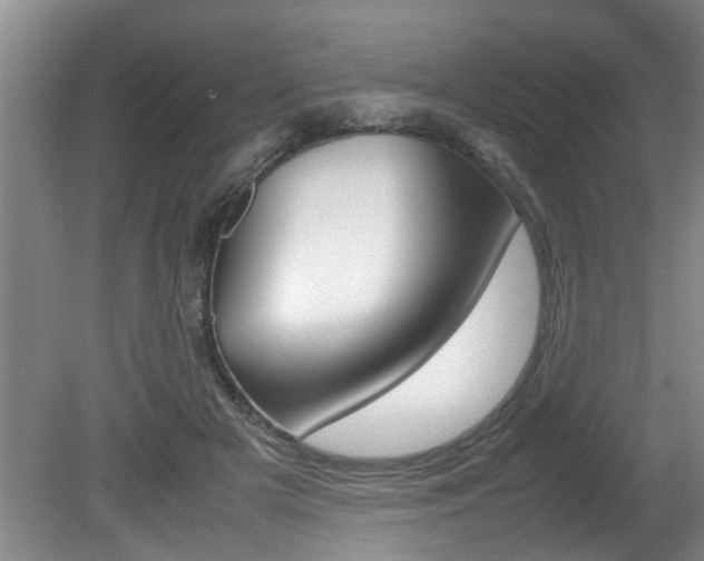 X0000080750505200612151001