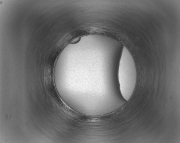 X0000080750506200612151001