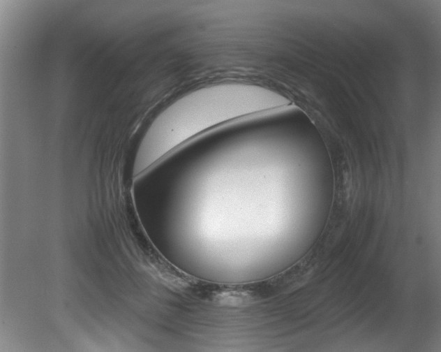 X0000080750508200612151001