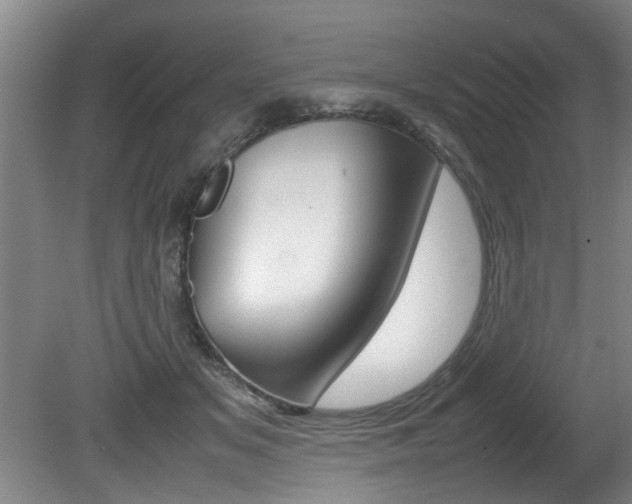 X0000080750509200612151001