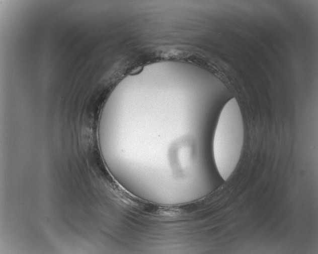 X0000080750510200612151001