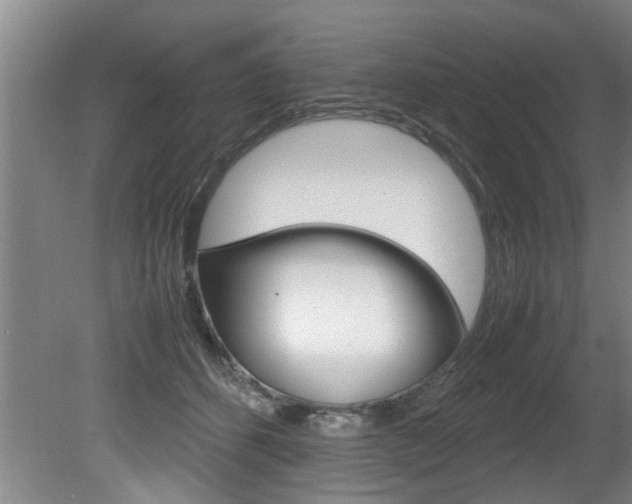 X0000080750512200612151001