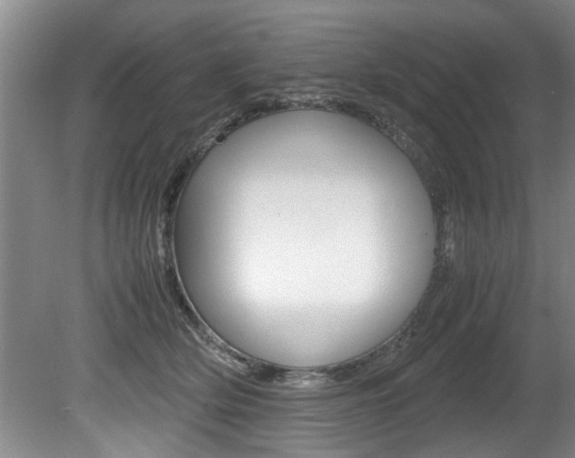 X0000080750514200612151001