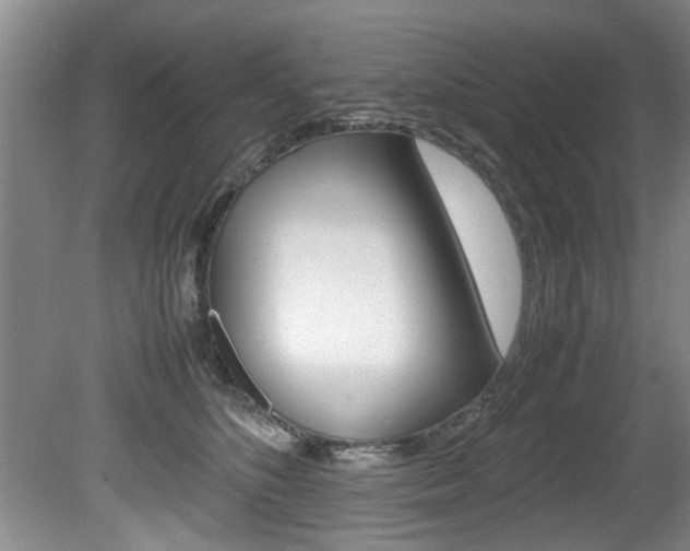 X0000080750516200612151001