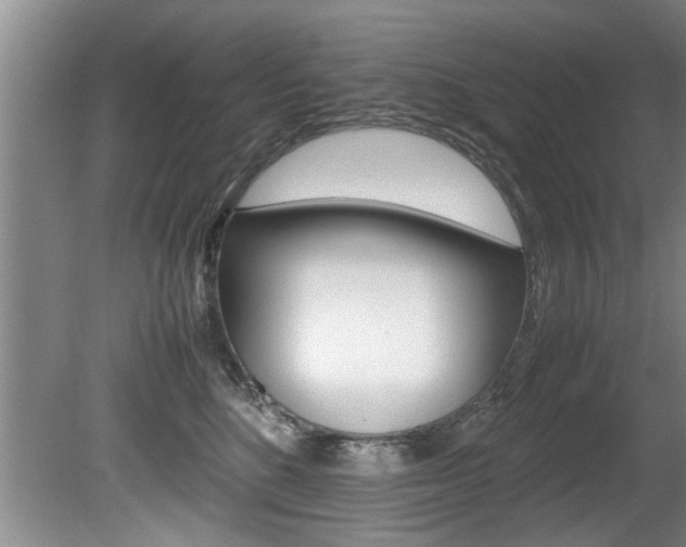 X0000080750520200612151001