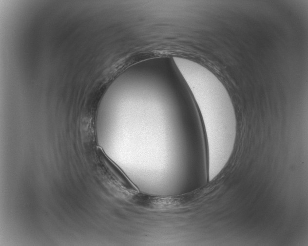 X0000080750521200612151001