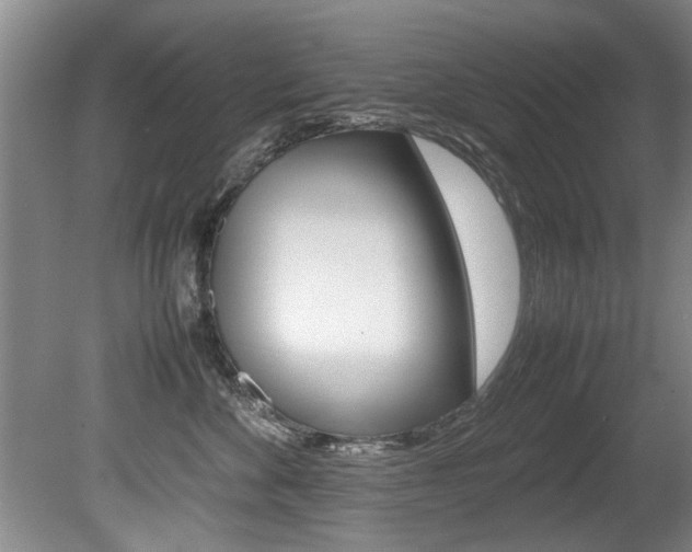 X0000080750524200612151001