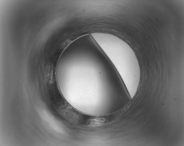X0000080750525200612151001