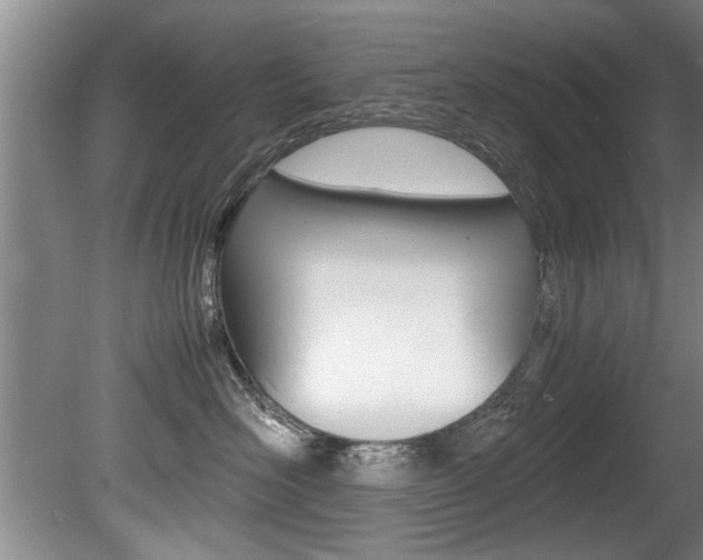 X0000080750526200612151001