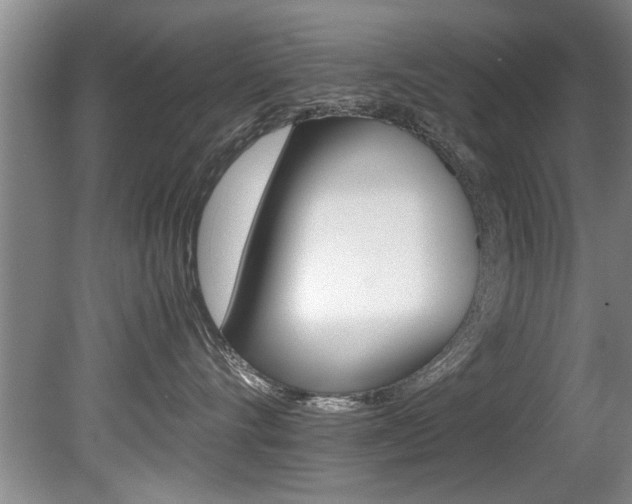 X0000080750528200612151001