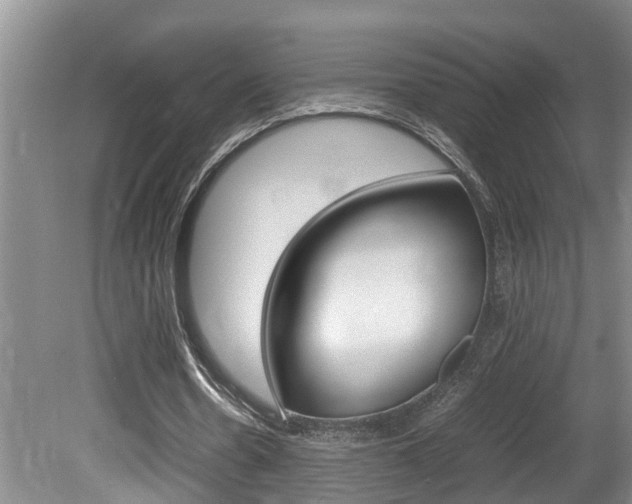 X0000080750530200612151000